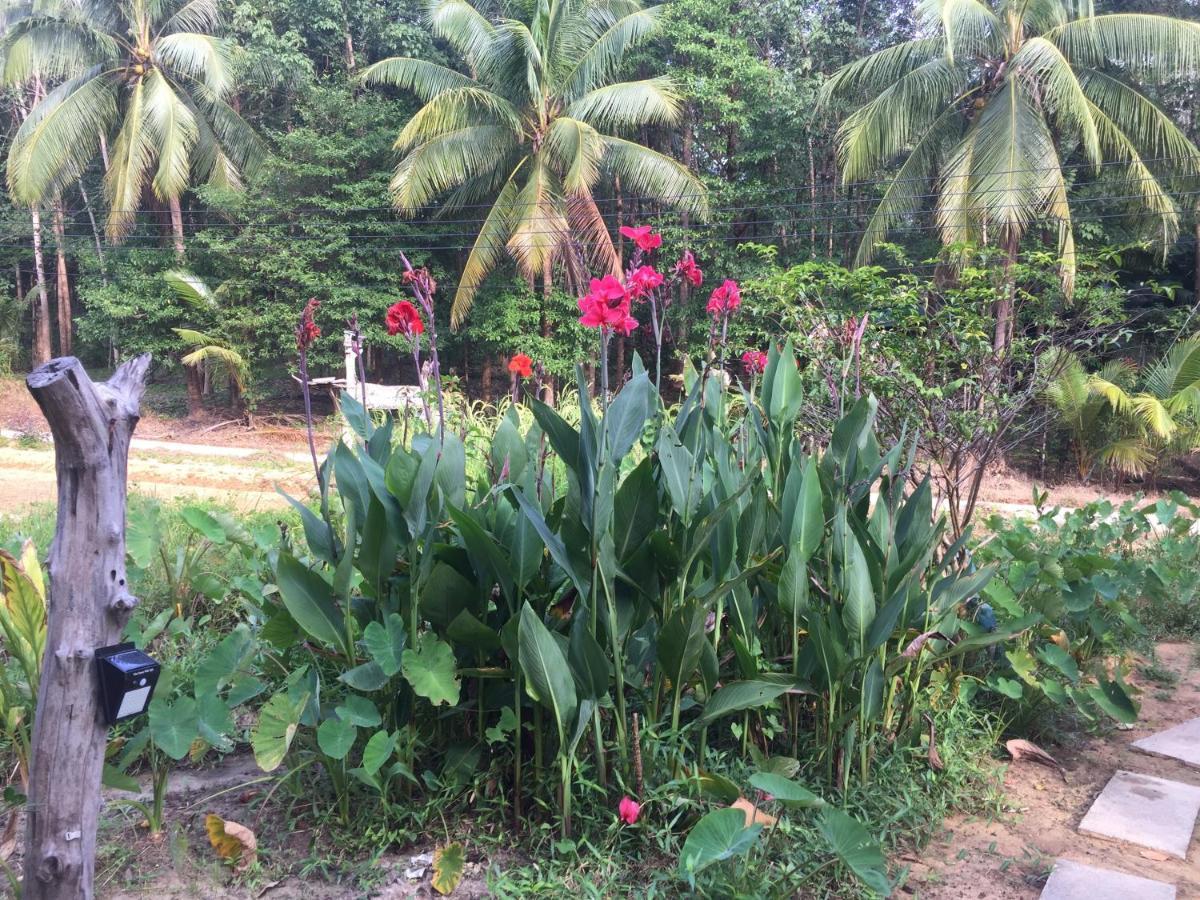 Phayam Garden View Otel Koh Phayam Dış mekan fotoğraf